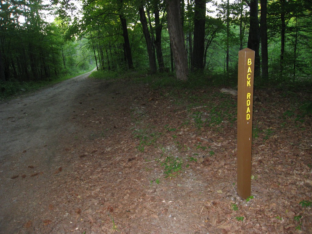 Old Hill Village - South End 385.jpg - In February 1937, residents of Hill Village NH learned that their village, near the Pemigewasset River, was to become a flood control reservoir for the Franklin Falls dam project. To accommodate the construction of the Franklin Falls Dam, the village of Hill NH was to be relocated. By January of 1940, the citizens of Hill NH formed an association, purchased land, and began planning a new model village with the help of the NH State Planning and Development Commission. Construction started in 1940, and by June of 1941 the new town hall and school were completed, along with the streets, water system, and 30 houses. The 1941 town meeting was called to order in the old town hall, recessed, and reconvened in the new village.